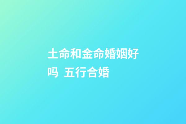 土命和金命婚姻好吗  五行合婚